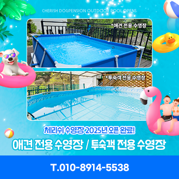 7822beaf4c445bfd492d19ea12dac278_1749691017_0338.png